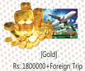 Gold Coins + Foreign Trip